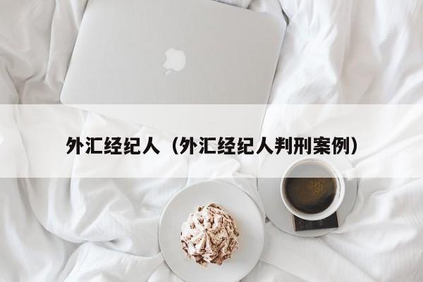 外汇经纪人（外汇经纪人判刑案例）